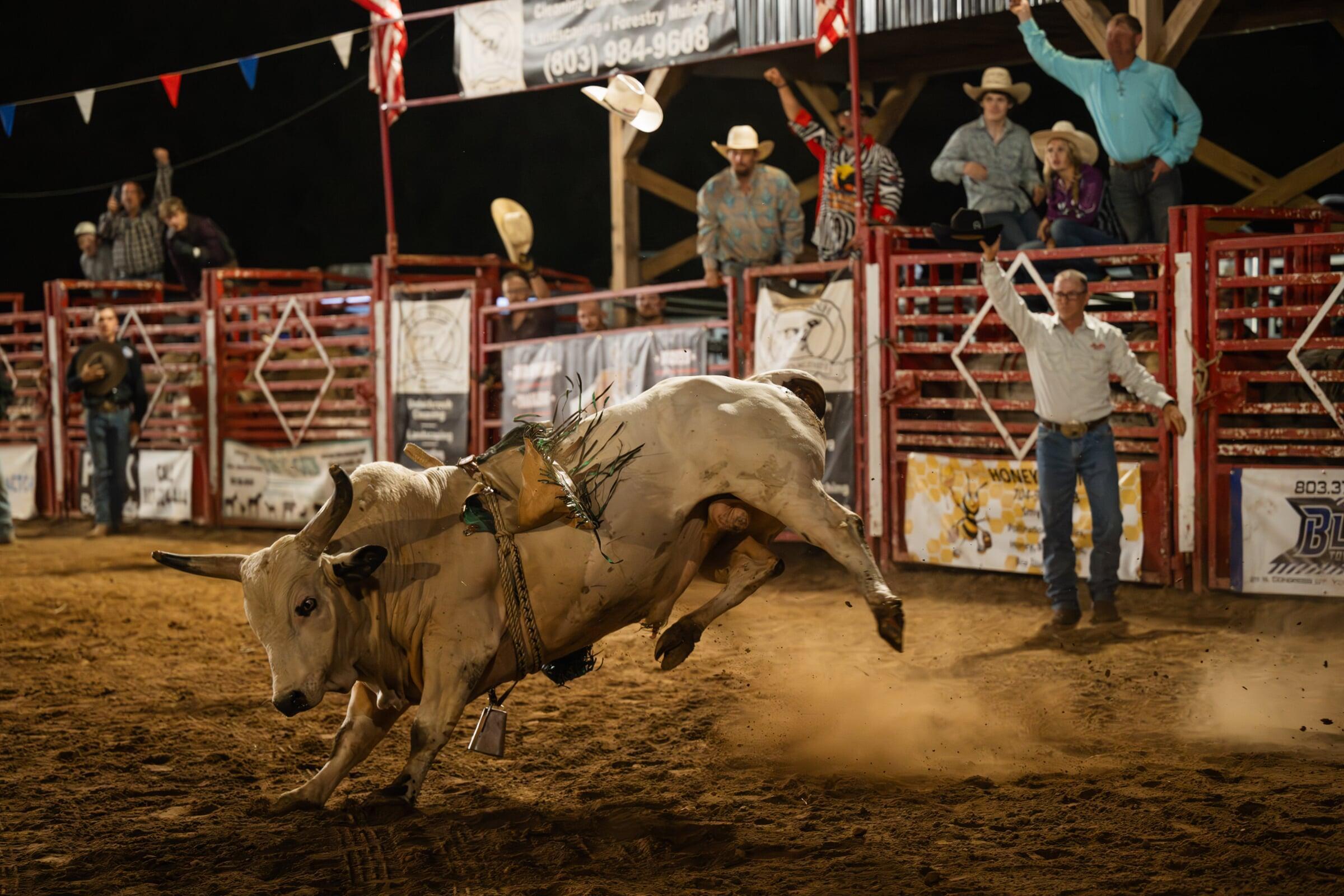 Fall 25 Pro Rodeo